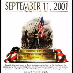 Bewild Positive Reinforcement 9/11 Never Forget Memorial T-Shirt