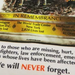 Bewild Positive Reinforcement 9/11 Never Forget Memorial T-Shirt