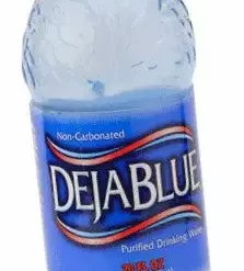 Bewild Diversion Safes, Trays & Containers Amazing Water Bottle Diversion Safe (20 Oz Bottle)