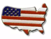 Bewild Lapel Pins America Lapel Pin