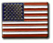 Bewild American Flag Lapel Pin