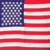 Bewild Bandanas - American Flag Bandana 22" X 22"
