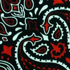 Bewild Bandanas - Black & Red Paisley Bandanna