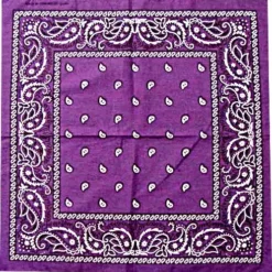 Bewild Bandanas - Dark Purple Paisley Bandana Bandannas