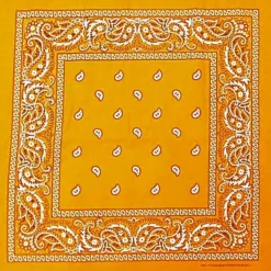 Bewild Bandannas Bandanas - Gold Paisley Bandana