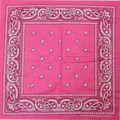 Bewild Bandanas - Hot Pink Paisley Bandana Bandannas
