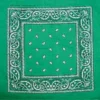 Bewild Bandanas - Irish Kelly Green Pasiley Bandana
