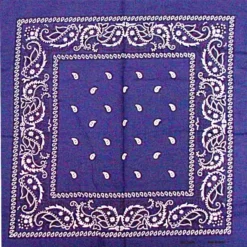 Bewild Bandanas - Navy Blue Paisley Bandana