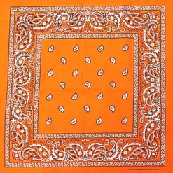 Bewild Bandanas - Orange Paisley Bandana