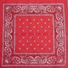 Bewild Bandannas Bandanas - Red Paisley Bandanna