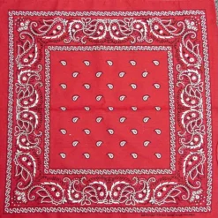 Bewild Bandannas Bandanas - Red Paisley Bandanna