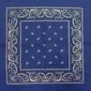 Bewild Bandannas Bandanas - Royal Blue Paisley Bandana