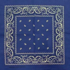 Bewild Bandannas Bandanas - Royal Blue Paisley Bandana
