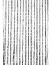 Bewild Beaded Curtains - Black Bamboo Doorway Curtain