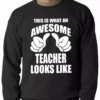 Bewild Positive Reinforcement Best Teacher Ever Adult Crewneck