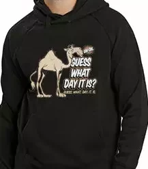Cool Funny & Offensive Bewild Guess What Day It Is? Camel Hump Day Adult Hoodie