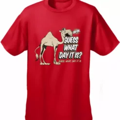 Cool Funny & Offensive Bewild Guess What Day It Is? Camel Hump Day Kids T-Shirt