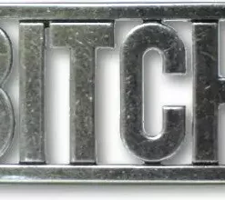 Bewild Bitch Belt Buckle With FREE Leather Belt