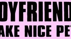 Bewild Boyfriends Make Nice Pets Girls T-Shirt Cool Funny & Offensive