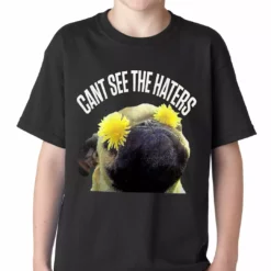 Bewild Cool Funny & Offensive Can't See The Haters Funny Pug Kids T-shirt