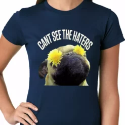 Bewild Cool Funny & Offensive Can't See The Haters Funny Pug Ladies T-shirt