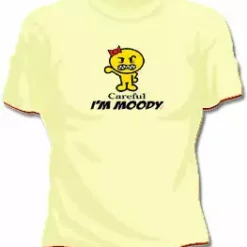 Bewild Careful. I'm Moody Girls T-Shirt Cool Funny & Offensive
