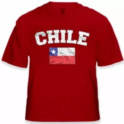 Bewild Chile Vintage Flag International Mens T-Shirt Nationality & Ethnic