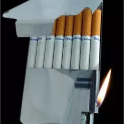 Bewild Cigarette Cases Cigarette Case With Cigarette Lighter (For Regular Size Only)