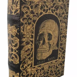 Bewild Diversion Safe - Skull Of The King Of Spirits Regus Mundi Book Safe (Small)
