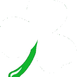 Bewild Flashing Light Up Shamrock Mens T-shirt (Black)