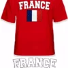 Bewild Nationality & Ethnic France Vintage Flag International Mens T-Shirt