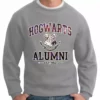 Bewild Hogwarts Alumni Galaxy Crewneck Sweatshirt