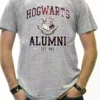 Bewild Comic Con & Gaming Clothing, Video Game Hogwarts Alumni Galaxy Men's T-Shirt