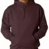 Bewild Hooded Sweatshirt :: Unisex Pull Over Hoodie (Brown)