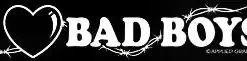 Bewild Cool Funny & Offensive I Love Bad Boys Girls T-Shirt