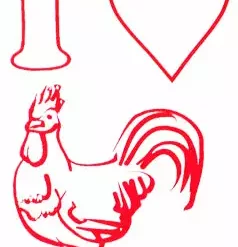 Bewild Cool Funny & Offensive I Love C*ck Girls T-Shirt