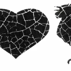 Bewild I Love C*ck T-Shirt (Mens)