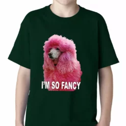 Bewild Cool Funny & Offensive I'm So Fancy - Pink Poodle Kids T-shirt