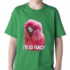 Bewild Cool Funny & Offensive I'm So Fancy - Pink Poodle Kids T-shirt