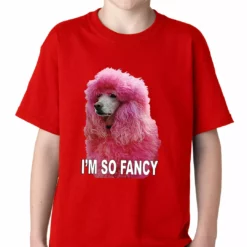 Bewild Cool Funny & Offensive I'm So Fancy - Pink Poodle Kids T-shirt