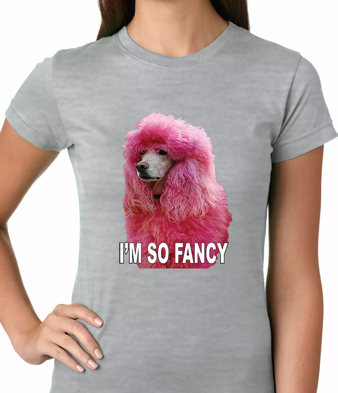 Bewild I'm So Fancy - Pink Poodle Ladies T-shirt Cool Funny & Offensive 6 Bewild I'm So Fancy - Pink Poodle Ladies T-shirt Cool Funny & Offensive