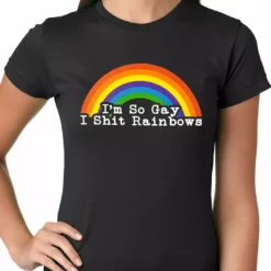 Bewild Positive Reinforcement I'm So Gay I Shit Rainbows Ladies T-shirt