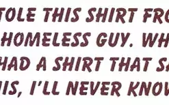 Bewild I Stole This.... Girls T-Shirt