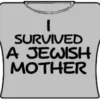 Bewild Cool Funny & Offensive I Survived A Jewish Mother Girls T-Shirt (Grey)