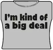 Bewild Im Kind Of A Big Deal Girls T-Shirt (Grey)