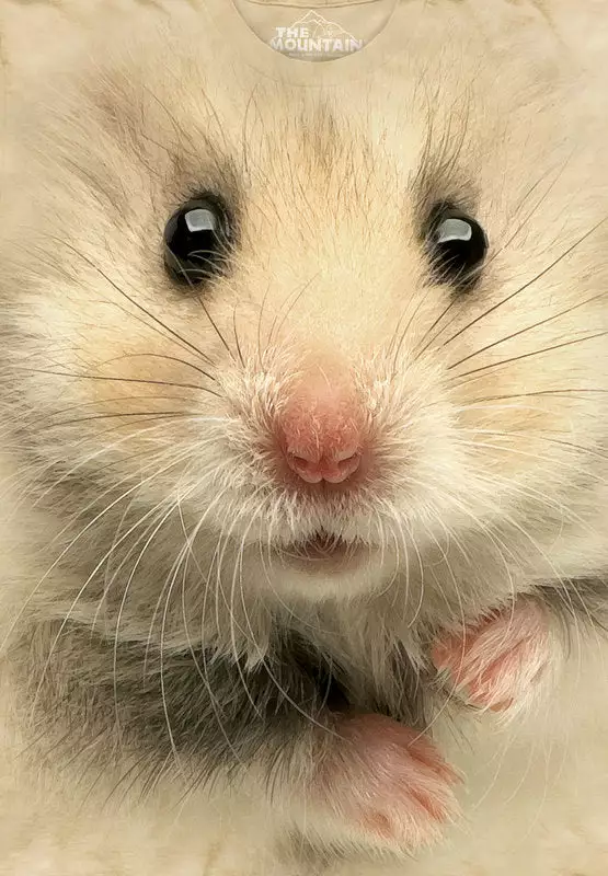 Bewild Kid's Hamster Big Face T-shirt 5 Bewild Kid's Hamster Big Face T-shirt