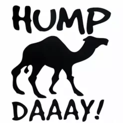 Bewild Cool Funny & Offensive Kids Hump Day Camel T-Shirt