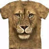 Bewild Lion Warrior Big Face Men's T-Shirt