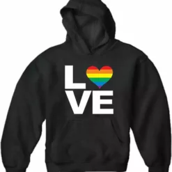Bewild Positive Reinforcement Love Rainbow Heart Adult Hoodie