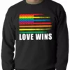 Bewild Love Wins - Gay Marriage Equality Adult Crewneck Positive Reinforcement